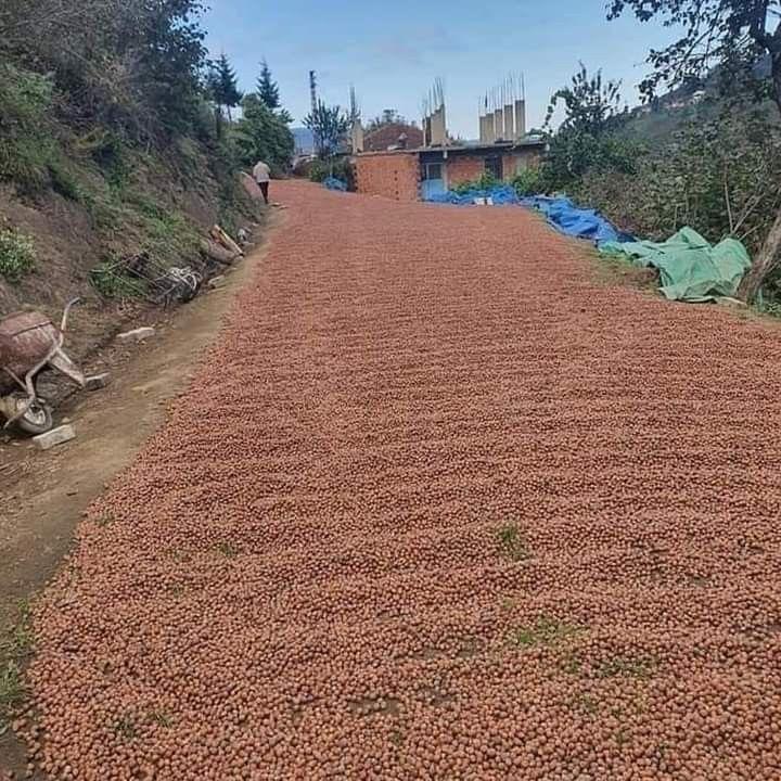 Sealed wholesale packages prepared for transport